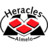 Heracles Almelo Icon